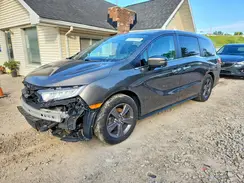 5FNRL6H55MB035397 2021 HONDA ODYSSEY