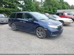 5FNRL6H55PB039938 2023 HONDA ODYSSEY