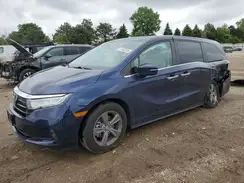 5FNRL6H55PB076665 2023 HONDA ODYSSEY