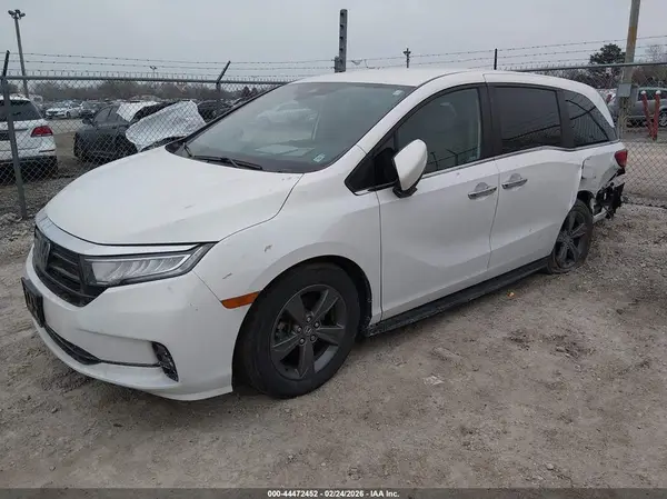 5FNRL6H55RB022852 2024 HONDA ODYSSEY - Image 2