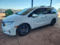 5FNRL6H55RB034242 2024 HONDA ODYSSEY