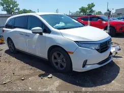 5FNRL6H56MB036316 2021 HONDA ODYSSEY