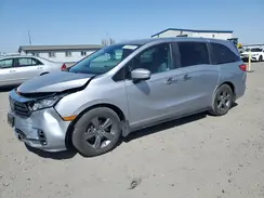 5FNRL6H56NB023731 2022 HONDA ODYSSEY