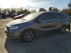 5FNRL6H57MB043954 2021 HONDA ODYSSEY