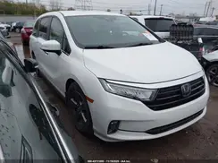 5FNRL6H57NB033264 2022 HONDA ODYSSEY