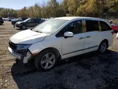5FNRL6H58KB016114 2019 HONDA ODYSSEY