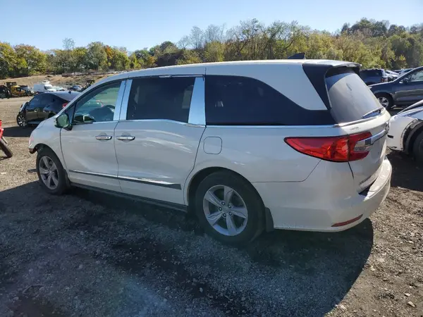 5FNRL6H58KB016114 2019 HONDA ODYSSEY - Image 2