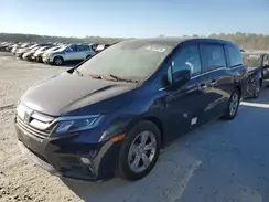 5FNRL6H58KB079407 2019 HONDA ODYSSEY