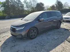 5FNRL6H58NB024380 2022 HONDA ODYSSEY