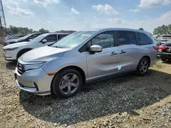 5FNRL6H59RB005861 2024 HONDA ODYSSEY