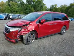 5FNRL6H59RB018500 2024 HONDA ODYSSEY