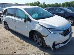 5FNRL6H59RB022868 2024 HONDA ODYSSEY