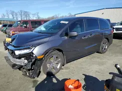 5FNRL6H59RB047236 2024 HONDA ODYSSEY