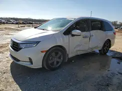 5FNRL6H5XMB038294 2021 HONDA ODYSSEY