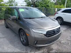 5FNRL6H5XNB031024 2022 HONDA ODYSSEY