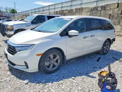 5FNRL6H5XRB009210 2024 HONDA ODYSSEY