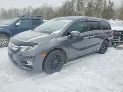 5FNRL6H60KB505356 2019 HONDA ODYSSEY