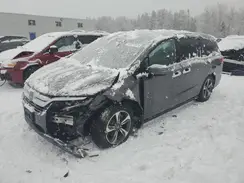 5FNRL6H60LB504967 2020 HONDA ODYSSEY