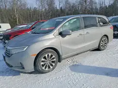 5FNRL6H60NB502090 2022 HONDA ODYSSEY