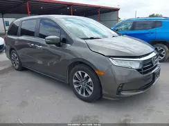 5FNRL6H60PB019007 2023 HONDA ODYSSEY