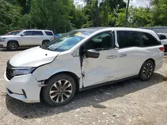 5FNRL6H60PB020805 2023 HONDA ODYSSEY