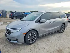 5FNRL6H60PB033019 2023 HONDA ODYSSEY