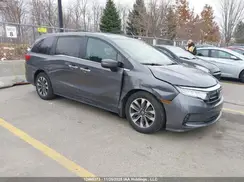 5FNRL6H60PB502268 2023 HONDA ODYSSEY