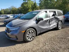 5FNRL6H60PB503629 2023 HONDA ODYSSEY