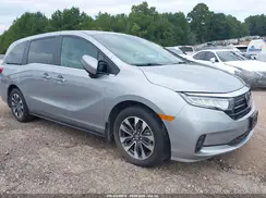 5FNRL6H60RB008995 2024 HONDA ODYSSEY