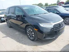 5FNRL6H60RB022556 2024 HONDA ODYSSEY