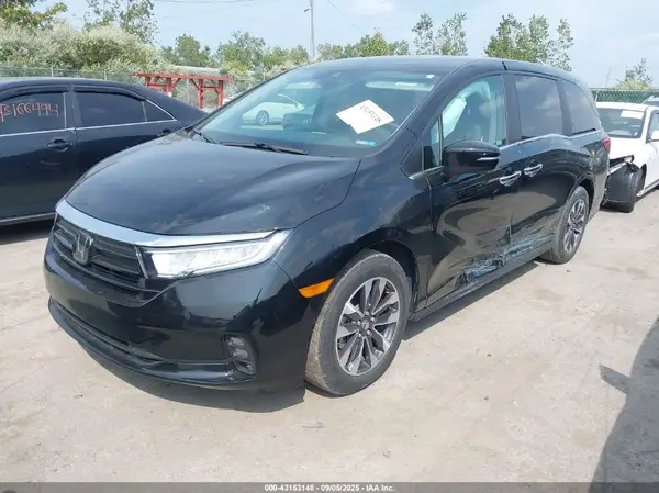 5FNRL6H60RB022556 2024 HONDA ODYSSEY - Image 2