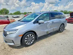 5FNRL6H60RB022959 2024 HONDA ODYSSEY