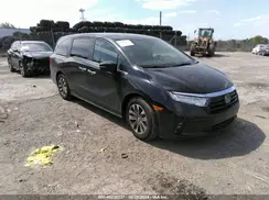 5FNRL6H60RB047540 2024 HONDA ODYSSEY