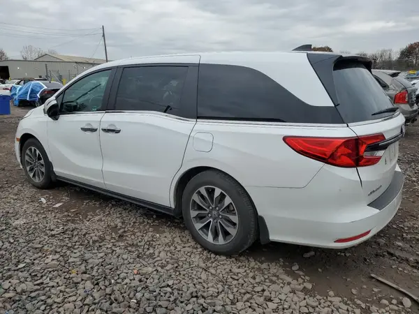 5FNRL6H60RB047604 2024 HONDA ODYSSEY - Image 2