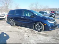5FNRL6H60RB061017 2024 HONDA ODYSSEY