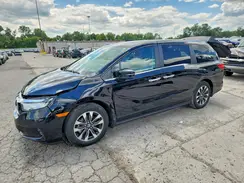 5FNRL6H60RB062832 2024 HONDA ODYSSEY