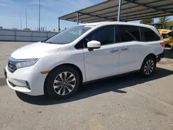 5FNRL6H60RB067870 2024 HONDA ODYSSEY