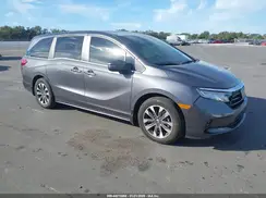 5FNRL6H60RB068646 2024 HONDA ODYSSEY