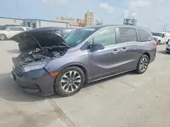 5FNRL6H60RB071143 2024 HONDA ODYSSEY