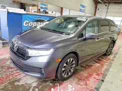 5FNRL6H60RB071434 2024 HONDA ODYSSEY