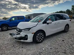 5FNRL6H60SB029187 2025 HONDA ODYSSEY