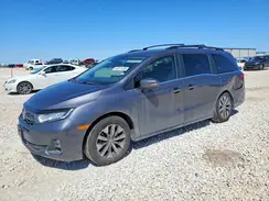5FNRL6H60SB055191 2025 HONDA ODYSSEY
