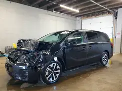 5FNRL6H60SB081242 2025 HONDA ODYSSEY
