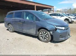 5FNRL6H60TB031796 2026 HONDA ODYSSEY
