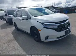 5FNRL6H61NB500610 2022 HONDA ODYSSEY