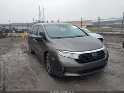 5FNRL6H61PB024247 2023 HONDA ODYSSEY