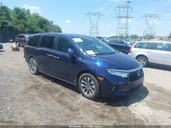 5FNRL6H61RB000002 2024 HONDA ODYSSEY