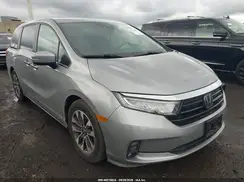 5FNRL6H61RB003272 2024 HONDA ODYSSEY