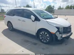 5FNRL6H61RB008617 2024 HONDA ODYSSEY