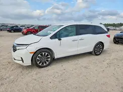 5FNRL6H61RB024817 2024 HONDA ODYSSEY